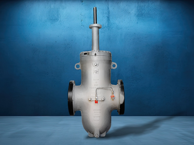 WKM Pow-R-Seal valve